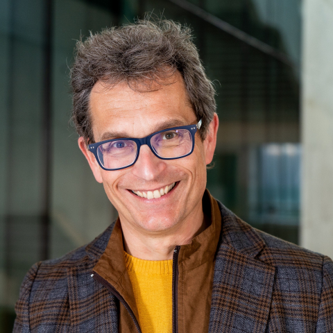 Fabio Todesco image
